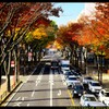前橋駅前散策と紅葉と①