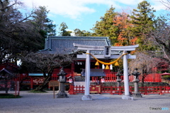 群馬世良田東照宮の秋③