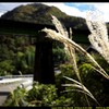 秋の吾妻の村にて③