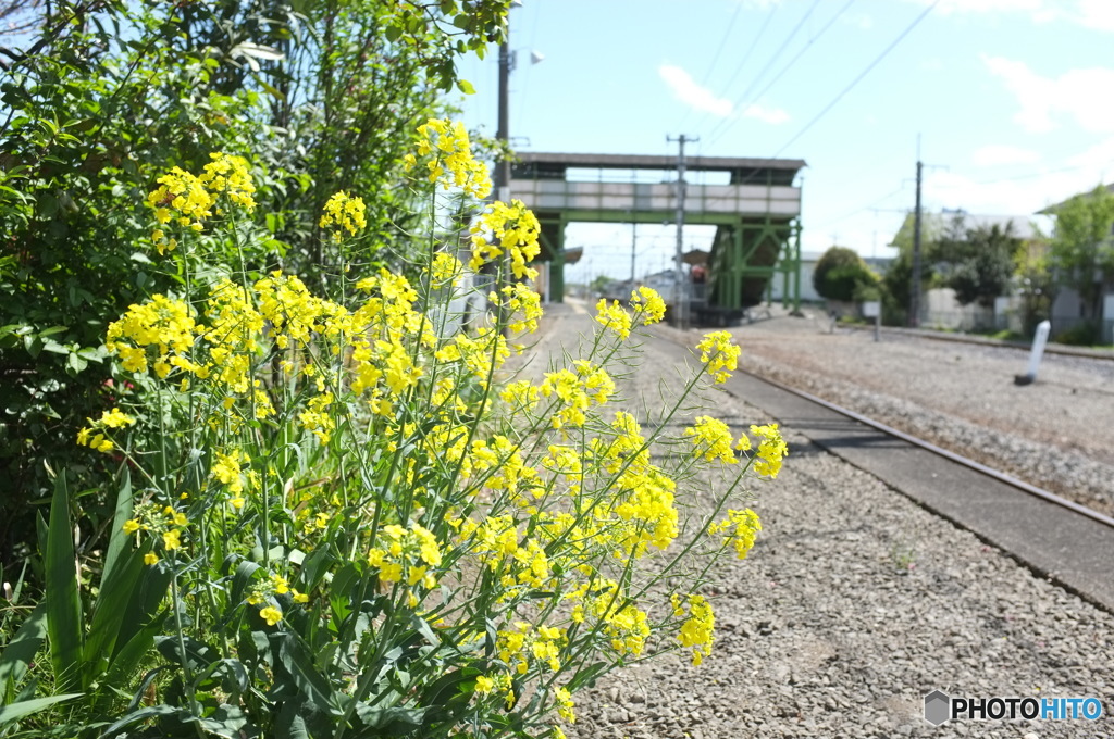 昭和の香りのする駅のホームにて