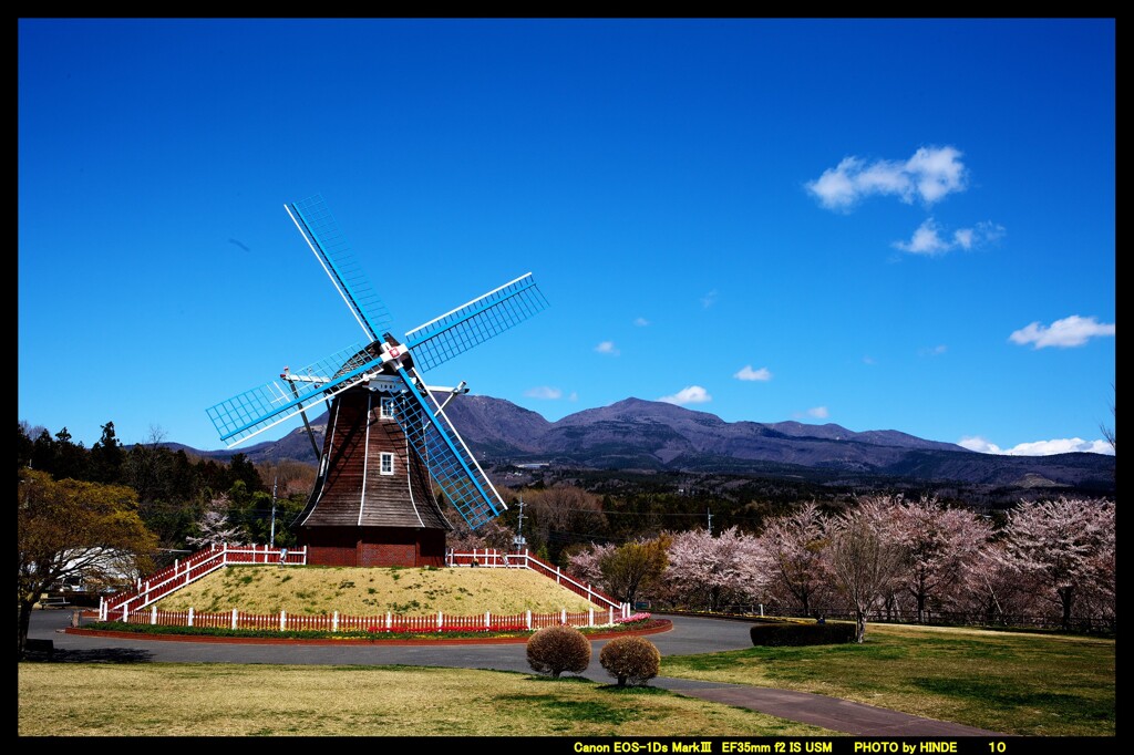 風車と桜と赤城山と②