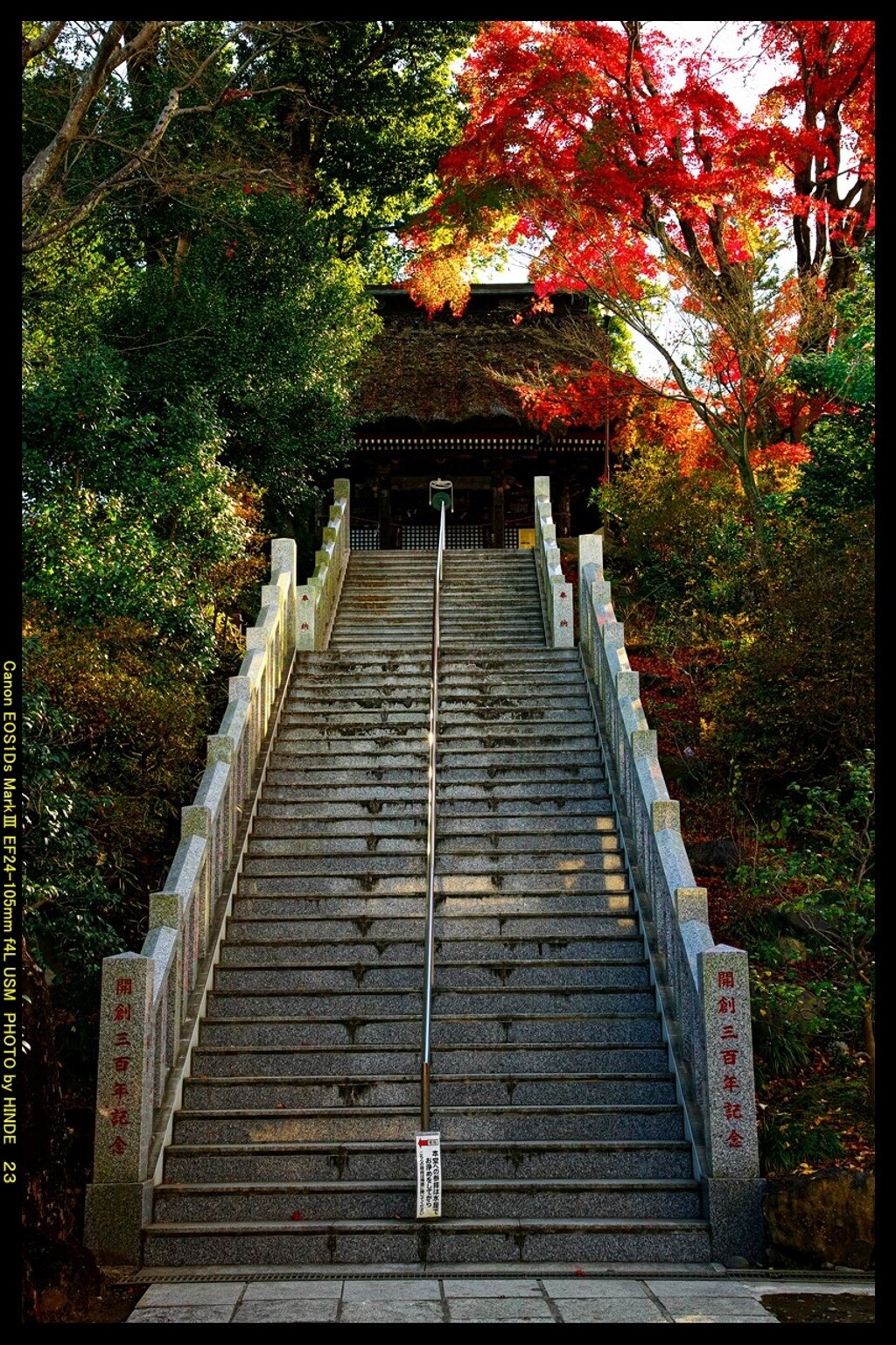 秋の少林山達磨寺にて㉑