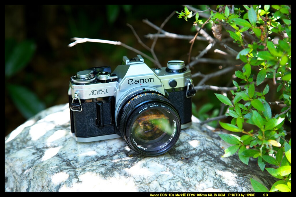 ひんでコレクション Canon AE-1 ①