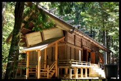 赤城神社と御神木と①