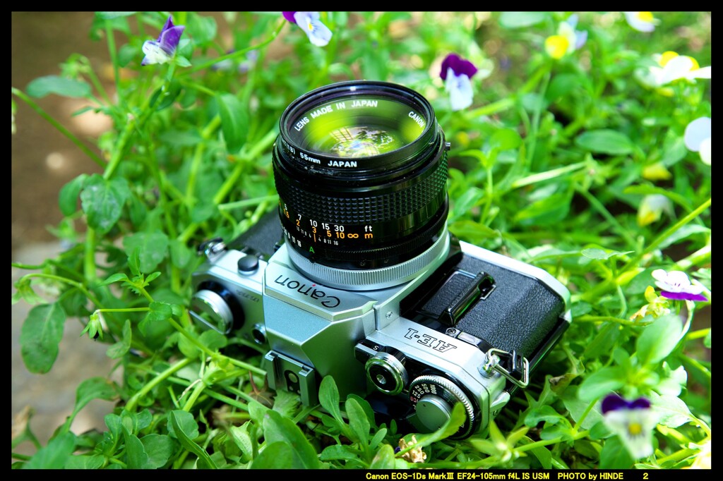 ひんでコレクション Canon AE-1 ④