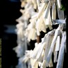 歴史ある木曽三社神社にて⑦