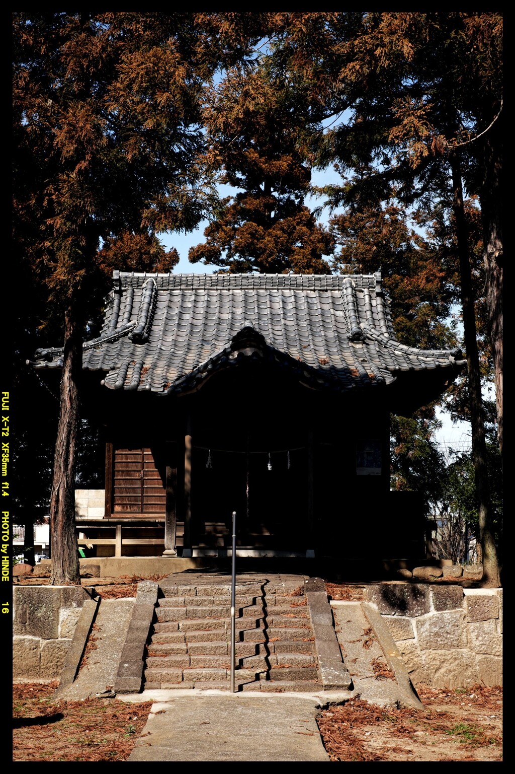 前橋の熊野神社境内