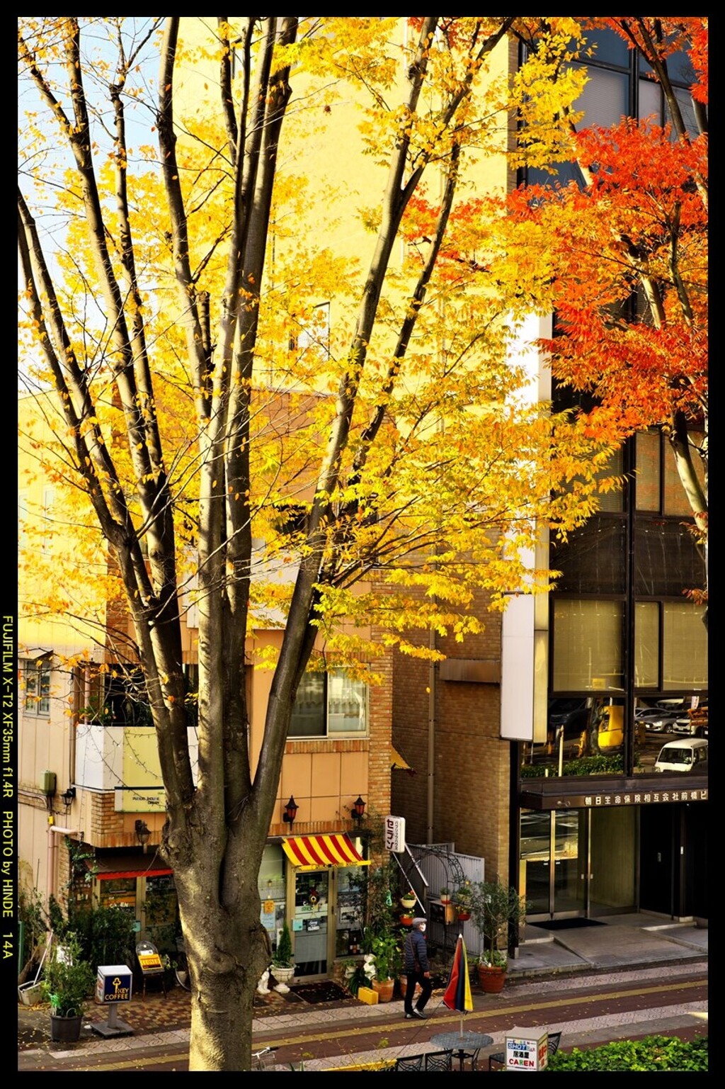 前橋駅前散策と紅葉と⑮