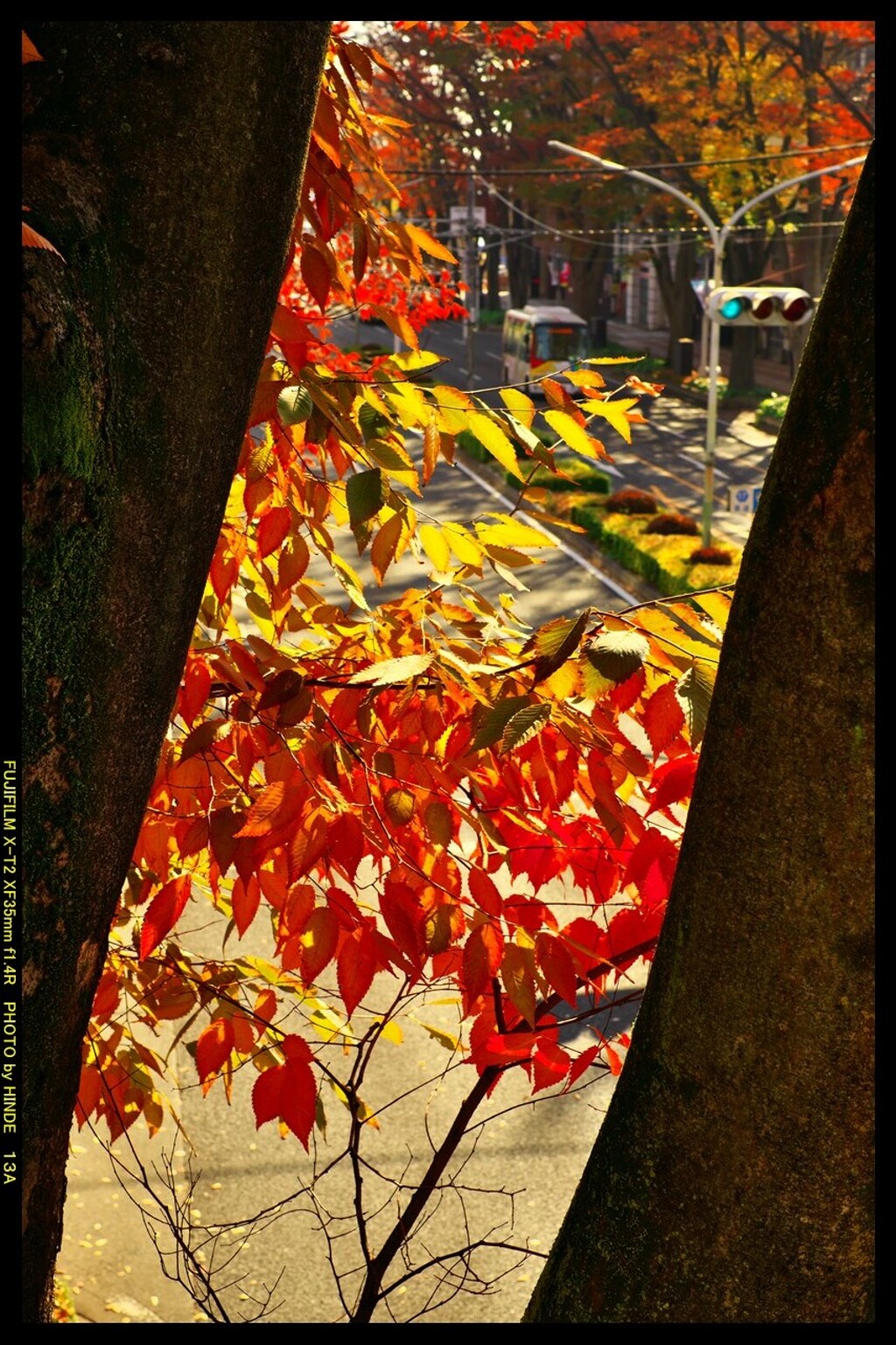 前橋駅前散策と紅葉と⑭