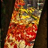 前橋駅前散策と紅葉と⑭