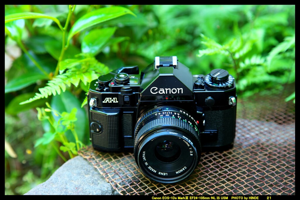 ひんでコレクション Canon A-1 ③