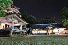 夜桜と