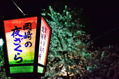 桜祭り