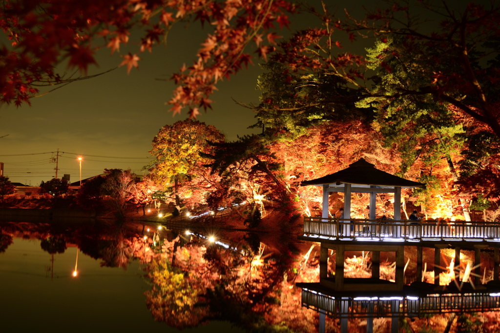 岡崎 東公園紅葉ライトアップ