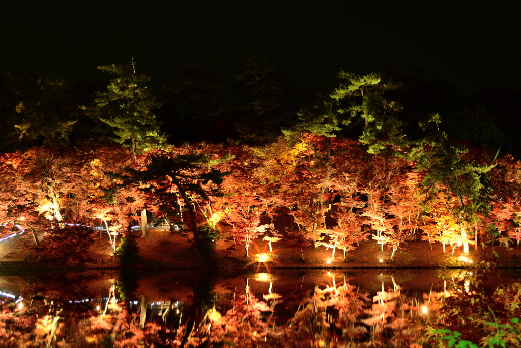 岡崎 東公園紅葉ライトアップ
