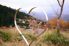 足柄峠1