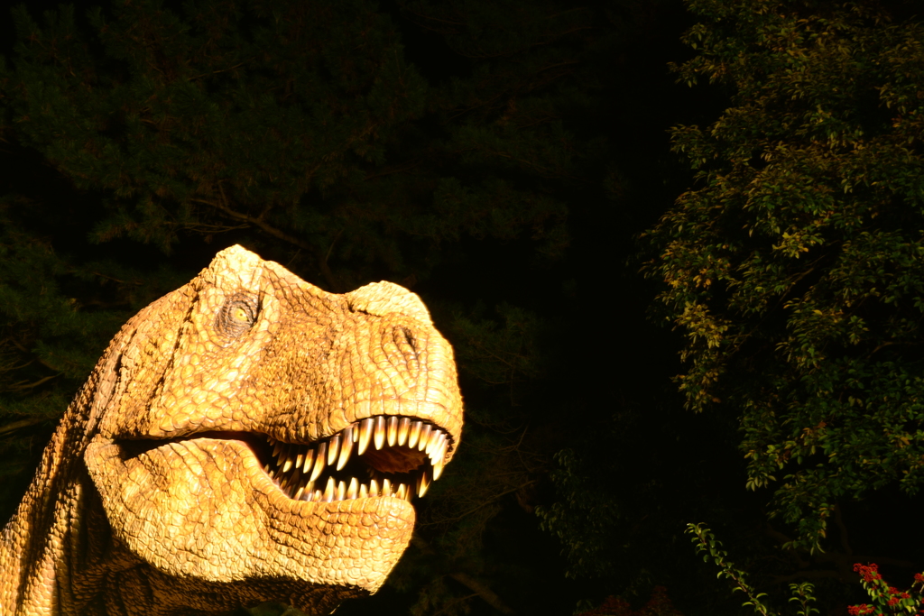 岡崎 東公園紅葉ライトアップ 恐竜笑
