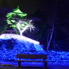 岡崎城ライトアップ
