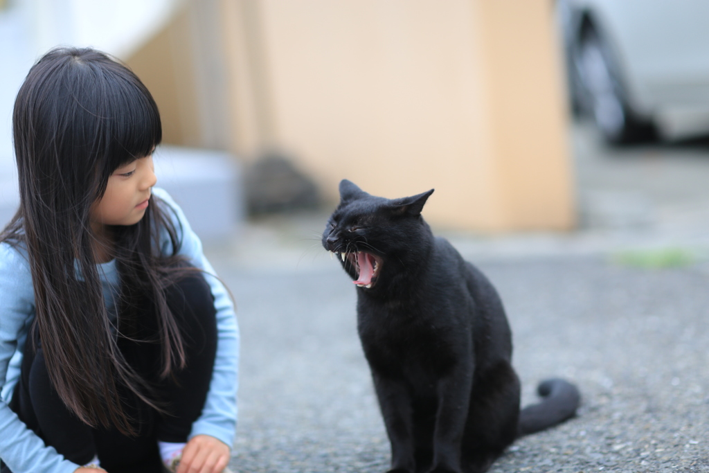 アクビ