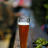 ビール様