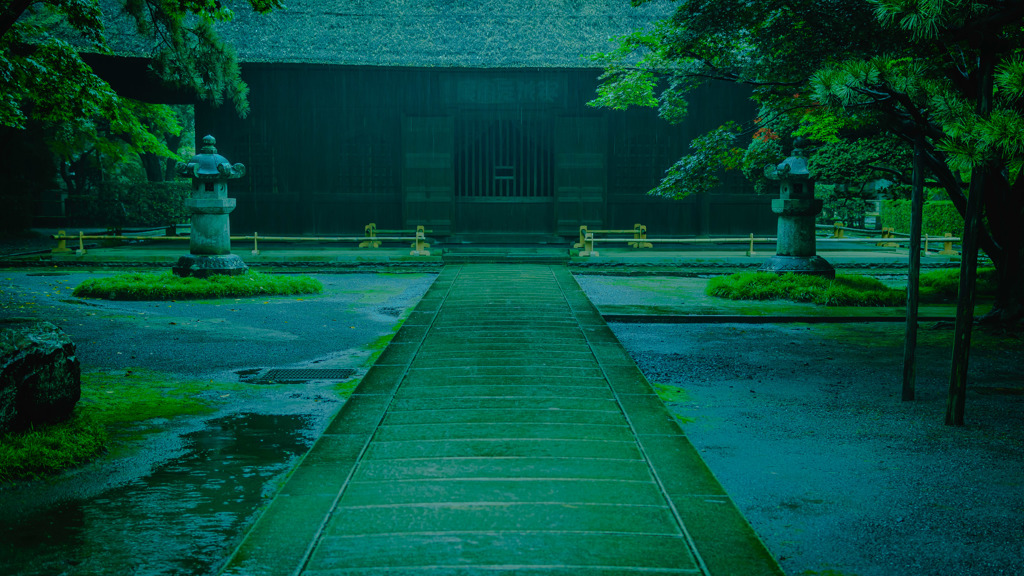 雨の中の風情