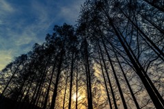 夕暮れ