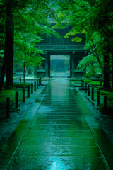 雨の日の平林寺
