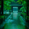雨の日の平林寺