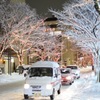 けやき通り 新潟