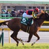 メジャーエンブレム 府中競馬場