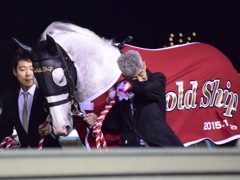 ゴールドシップ 中山競馬場