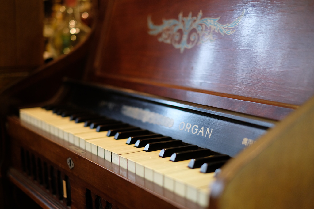 ＯＲＧＡＮ