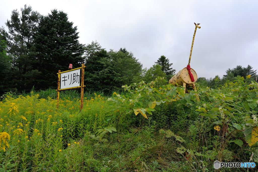 キリ助