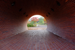 トンネルから見る紅葉