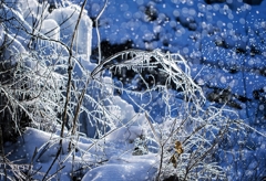 【氷雪の舞い】
