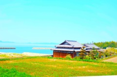 直島