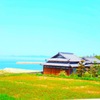 直島