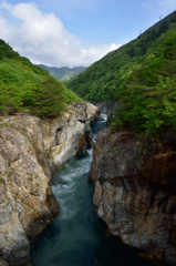 龍王峡むささび橋新緑