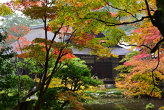 南禅寺南禅院20171118