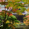 南禅寺南禅院20171118