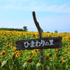 ひまわりの里