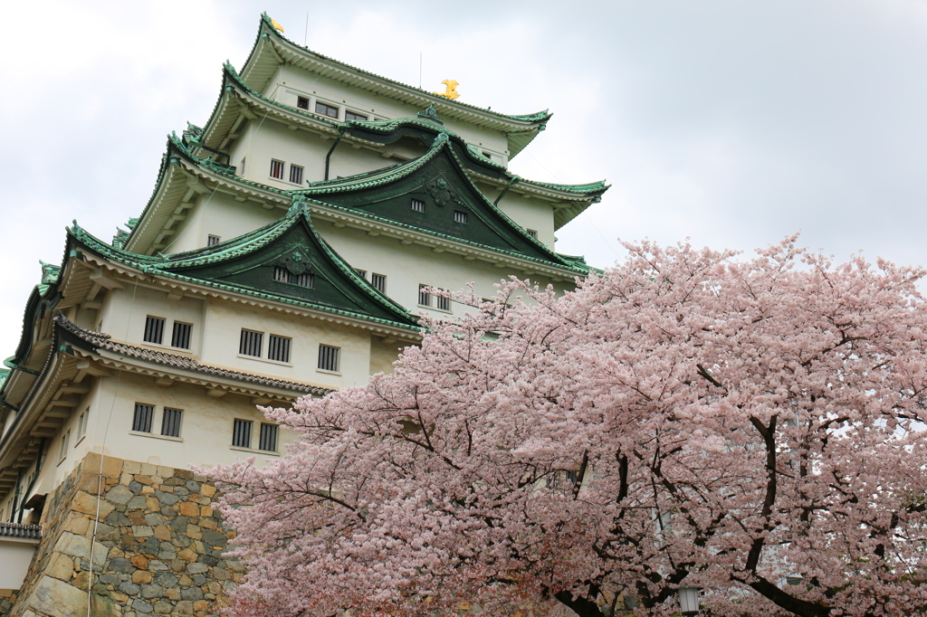 名古屋城