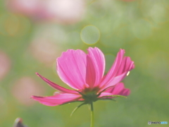 夕方