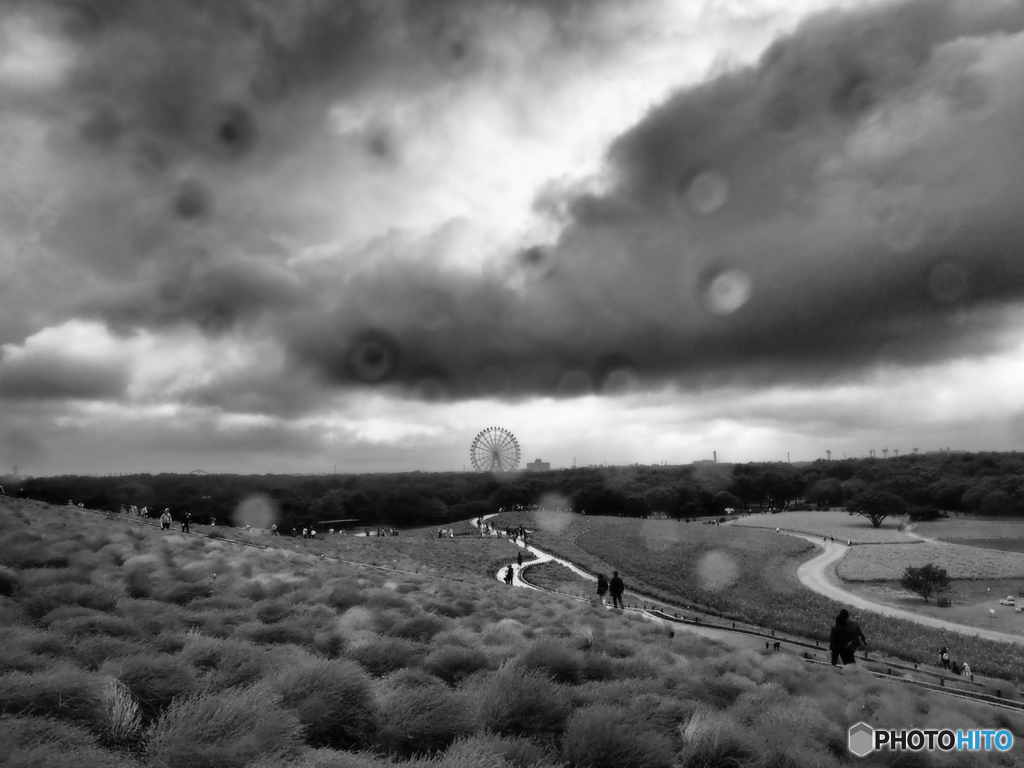 雲