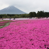 花と山