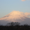 足柄の朝