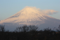 足柄の朝3