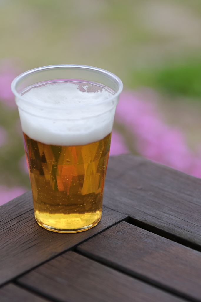 春に乾杯！