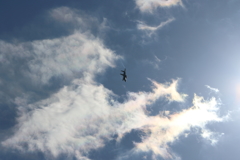 太陽と雲と