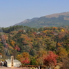 九重夢大吊橋